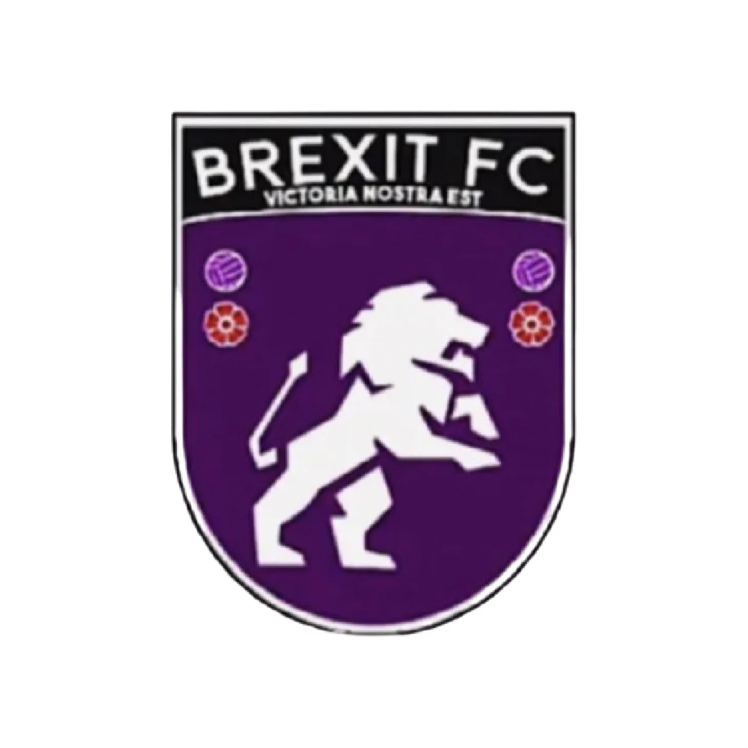 Custom football kit partner Brexit FC