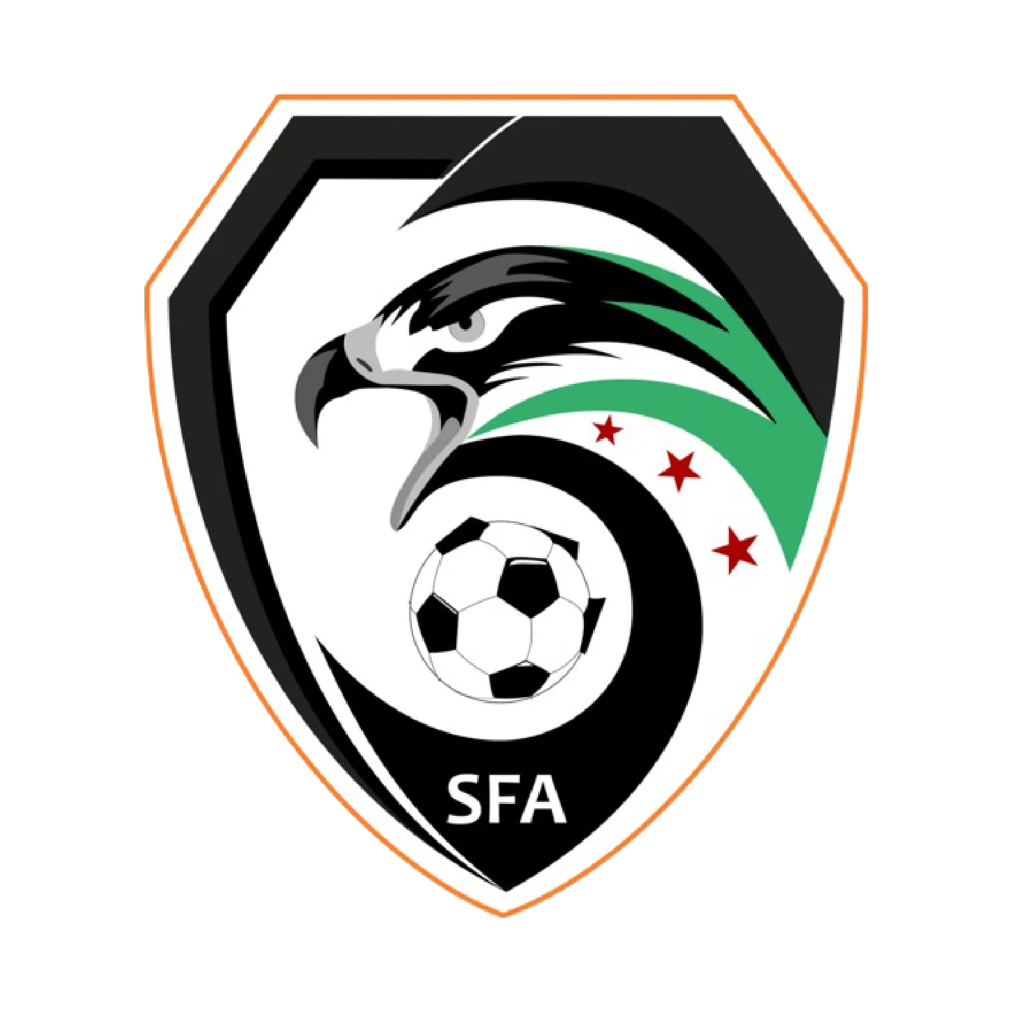 Custom football kit partner SFA Partner